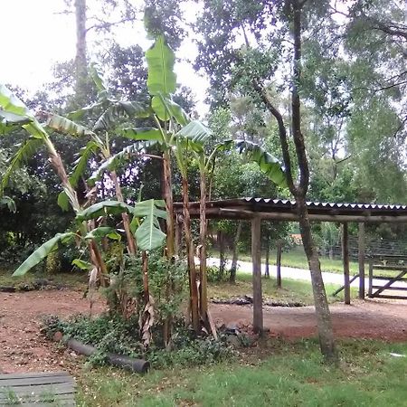 埃斯特角城Morro Del Tesoro II别墅 外观 照片