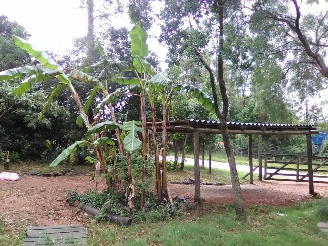 埃斯特角城Morro Del Tesoro II别墅 外观 照片