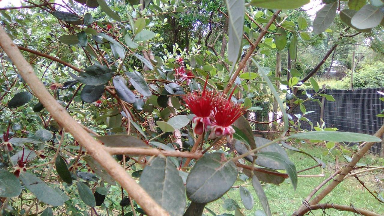 埃斯特角城Morro Del Tesoro II别墅 外观 照片
